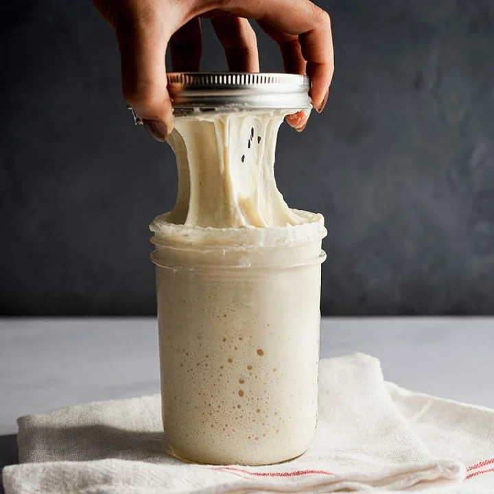 Fermentator do zakwasu B&T