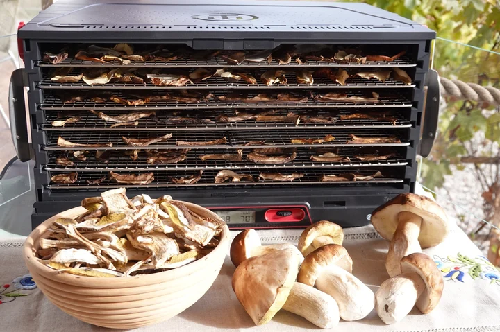 Suszarka składana Sahara- ruszty metalowe